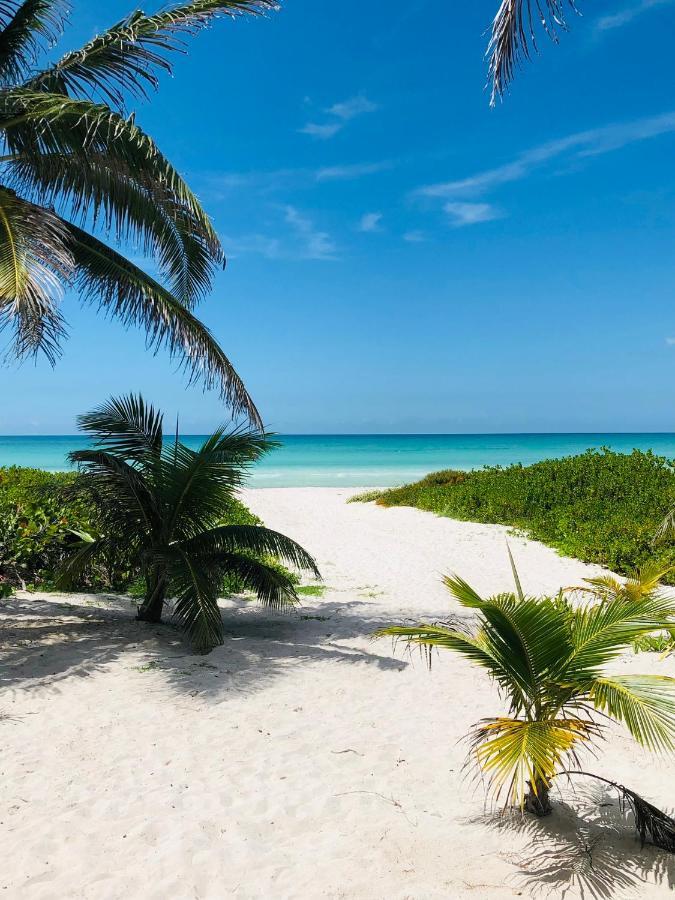 Cabana Tortuga A Unos Pasos De La Playa Appartamento El Cuyo Esterno foto
