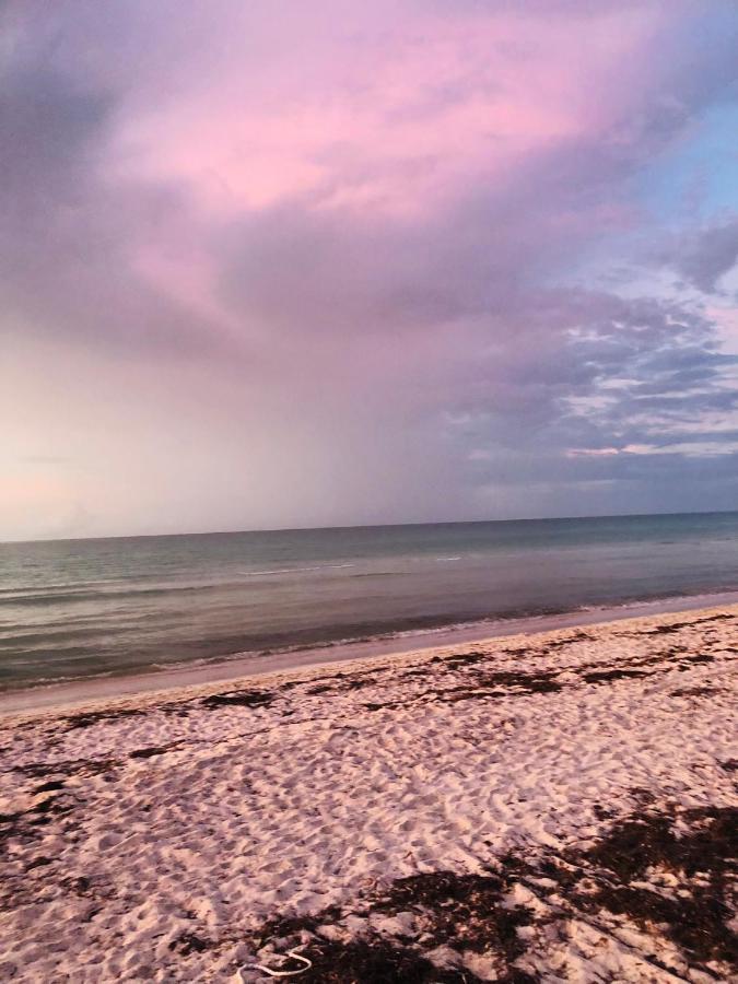 Cabana Tortuga A Unos Pasos De La Playa Appartamento El Cuyo Esterno foto